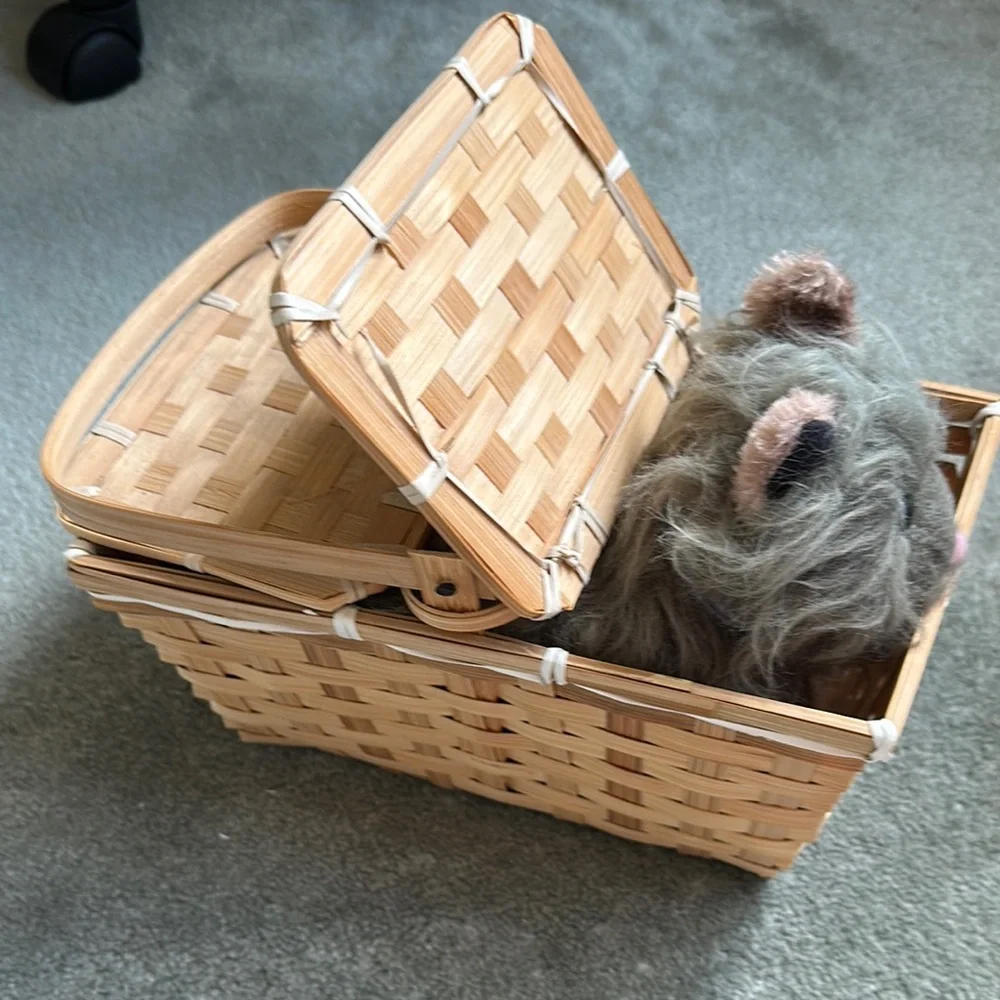 Rubie's Tan Small Pet Carrier Basket